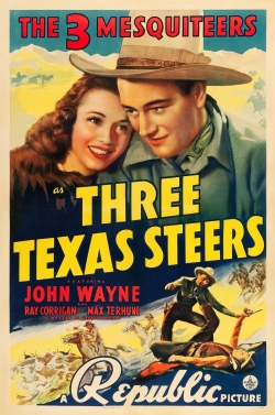 Three Texas Steers Three Texas Steers