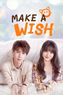 Make a Wish Make a Wish