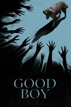 Good Boy Good Boy