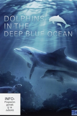 Dolphins in the Deep Blue Ocean Dolphins in the Deep Blue Ocean