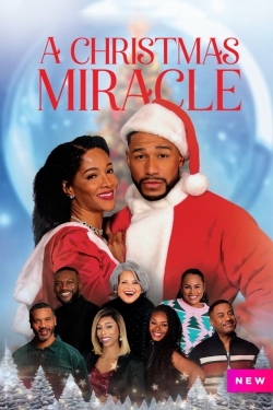 A Christmas Miracle A Christmas Miracle