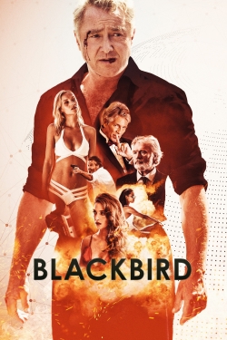 Blackbird Blackbird