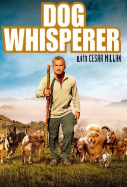 Dog Whisperer Dog Whisperer