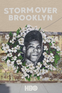 Yusuf Hawkins: Storm Over Brooklyn Yusuf Hawkins: Storm Over Brooklyn