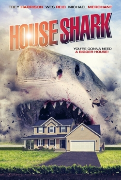 House Shark House Shark
