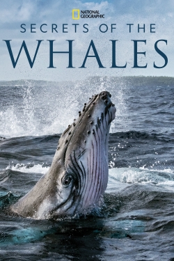 Secrets of the Whales Secrets of the Whales