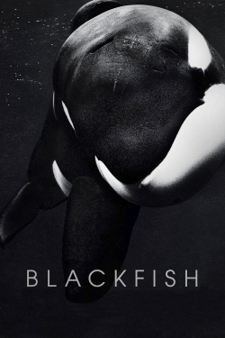 Blackfish Blackfish