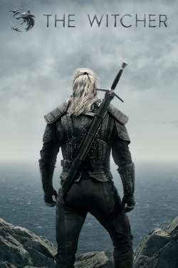 The Witcher The Witcher