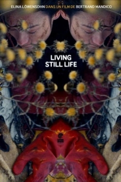 Living Still Life Living Still Life