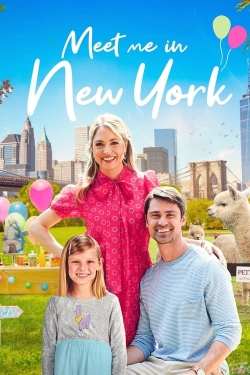 Meet Me in New York Meet Me in New York