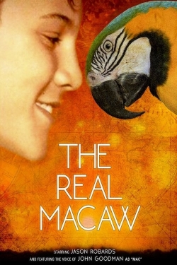 The Real Macaw The Real Macaw