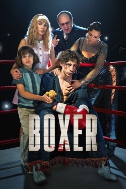 Boxer Boxer