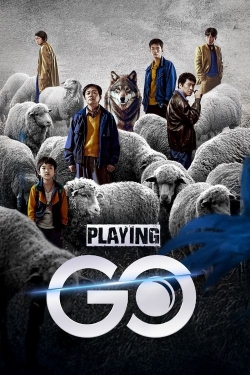 Playing Go Playing Go
