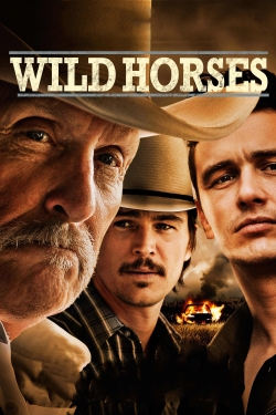 Wild Horses Wild Horses