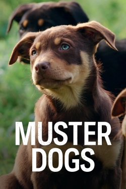 Muster Dogs Muster Dogs