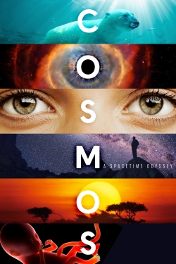 Cosmos Cosmos