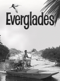 Everglades Everglades