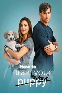How to Train Your Husband How to Train Your Husband