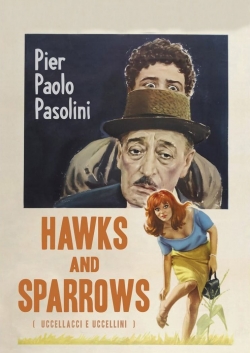 Hawks and Sparrows Hawks and Sparrows