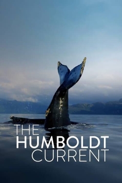 The Humboldt Current The Humboldt Current