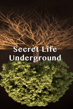 Secret Life Underground Secret Life Underground