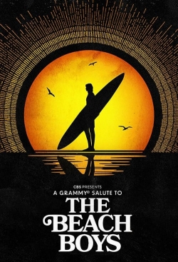 A Grammy Salute to The Beach Boys A Grammy Salute to The Beach Boys