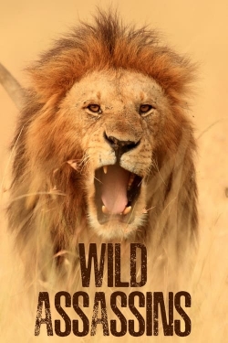 Wild Assassins Wild Assassins