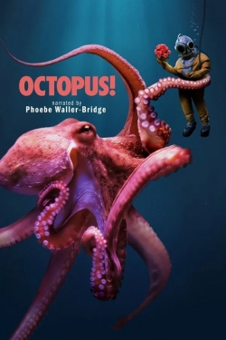 Octopus! Octopus!