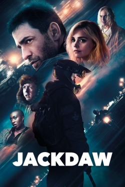 Jackdaw Jackdaw
