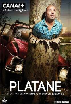 Platane Platane