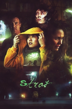 Stray Stray