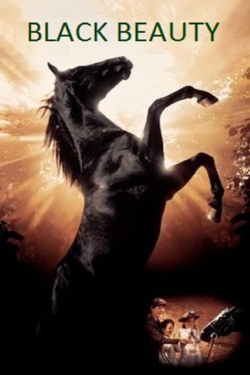 Black Beauty Black Beauty