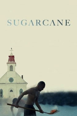 Sugarcane Sugarcane