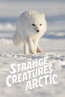Strange Creatures of the Arctic Strange Creatures of the Arctic