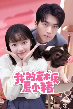 My Piggy Boss My Piggy Boss