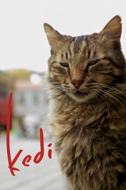 Kedi Kedi
