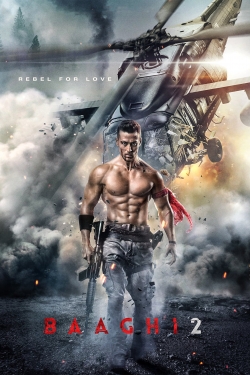 Baaghi 2 Baaghi 2