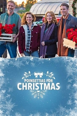 Poinsettias for Christmas Poinsettias for Christmas
