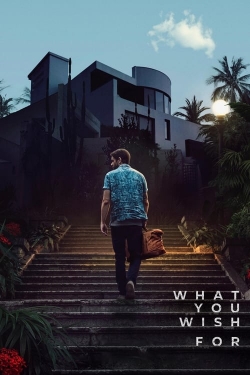 What You Wish For What You Wish For