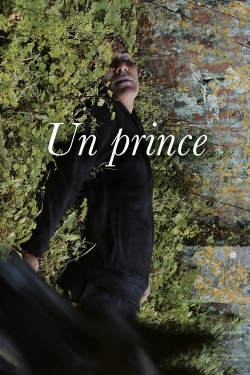 A Prince A Prince