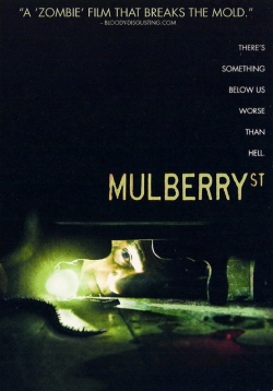 Mulberry Street Mulberry Street