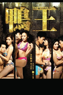 The Gigolo The Gigolo