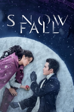 Snowfall Snowfall
