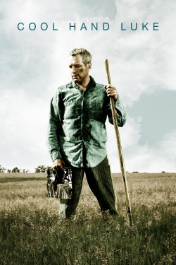 Cool Hand Luke Cool Hand Luke