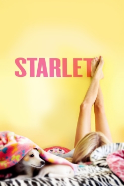 Starlet Starlet