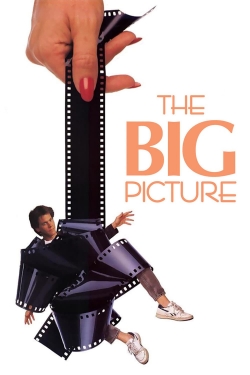 The Big Picture The Big Picture
