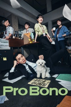 Pro Bono Pro Bono