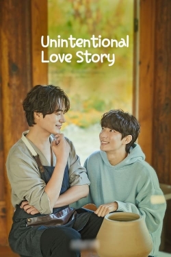 Unintentional Love Story Unintentional Love Story