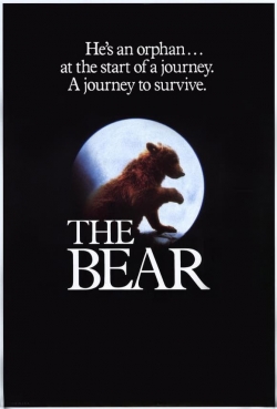 The Bear The Bear