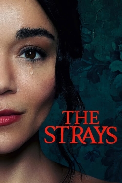 The Strays The Strays